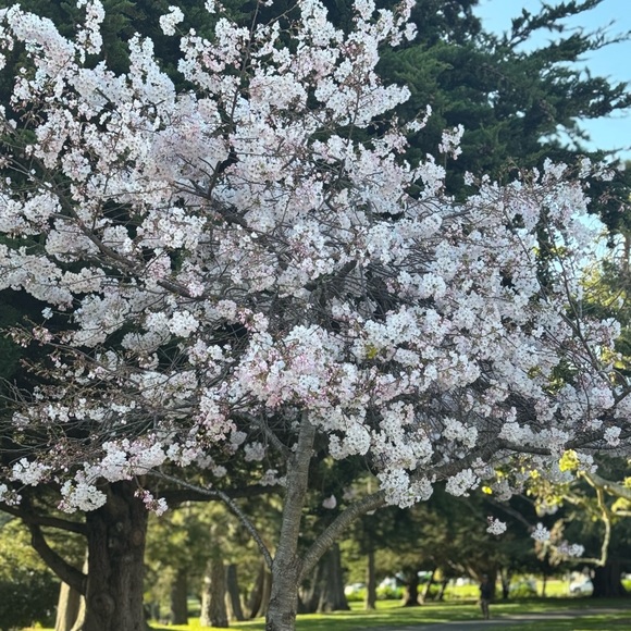 Meet your Posher, Alex - Picture 1 of 1